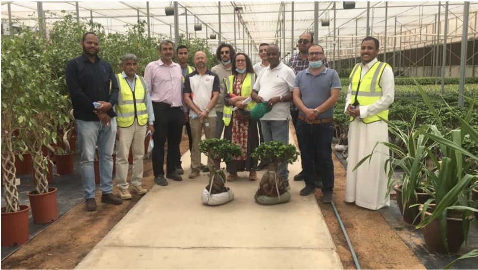 Saudi Arabia’s Net Zero Target And CCG’s Work With Green Riyadh, In Support Of Vision 2030.